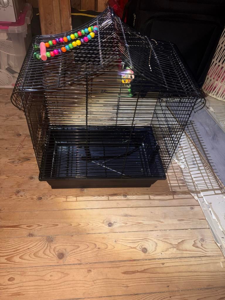 Nieuwe vogelkooi, Dieren en Toebehoren, Vogels | Hokken en Kooien, Ophalen, Nieuw, Metaal, Vogelkooi