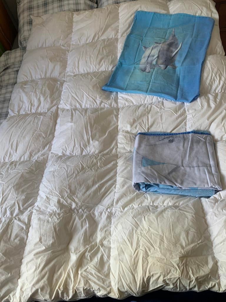 Kinderdekbed & dolfinen overtrek, Ophalen, Gebruikt, Eenpersoons, Dekbedovertrek