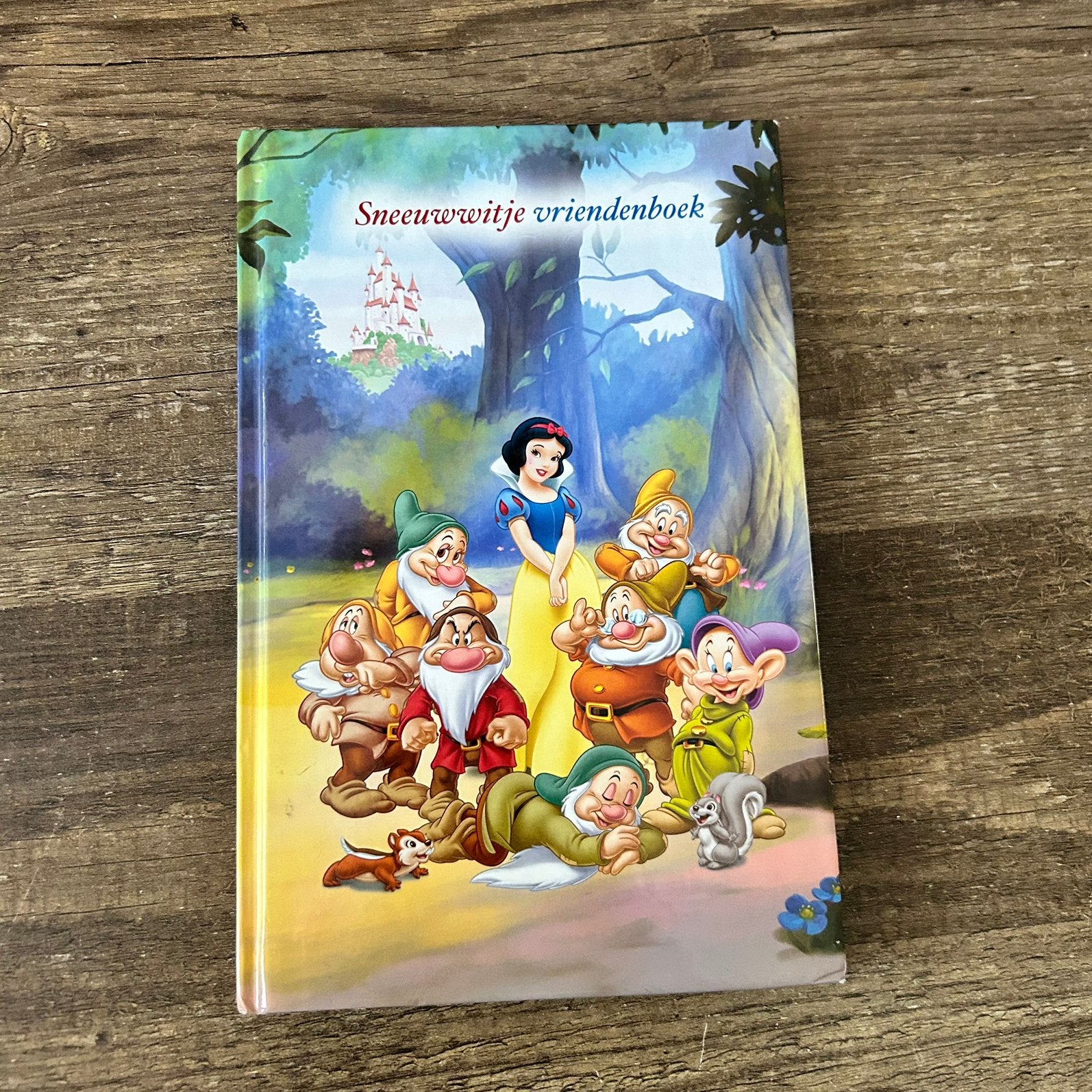 Sneeuwwitje vriendenboek – Disney Princess, Boeken, Kinderboeken | Jeugd | onder 10 jaar, Ophalen of Verzenden, Nieuw, Non-fictie