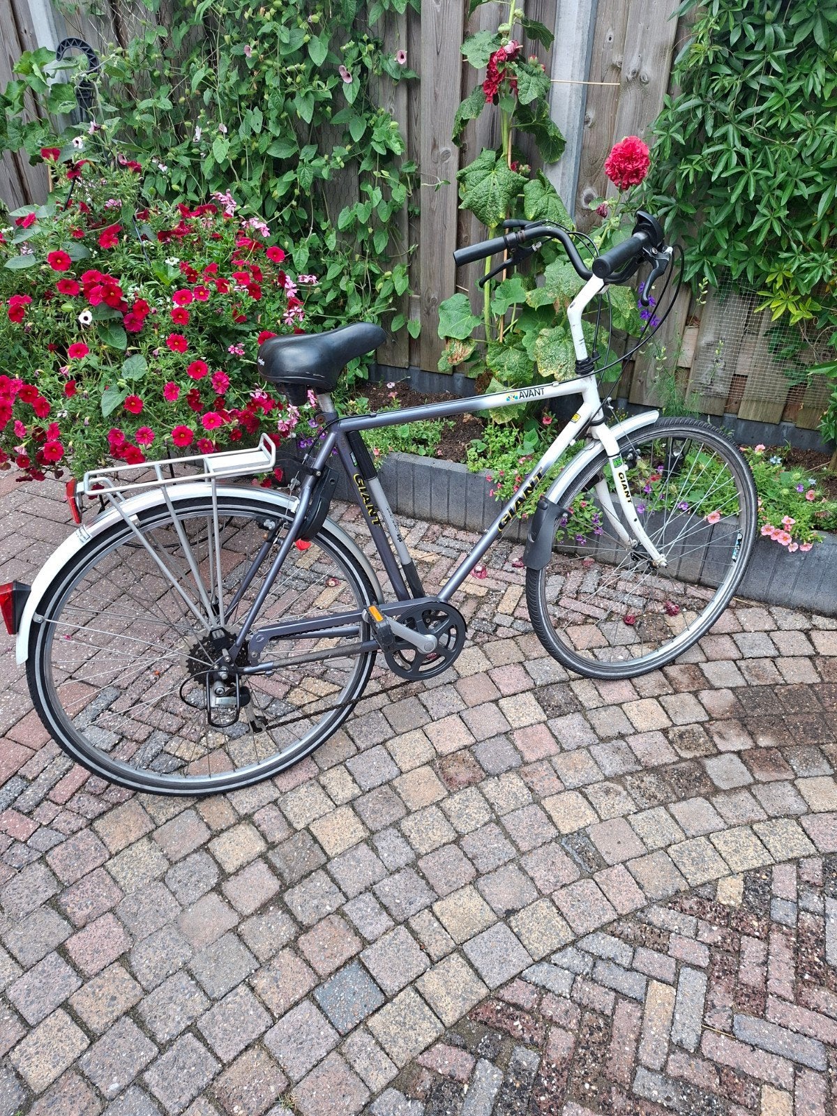 Giant Avant herenfiets - Oudje maar rijdt nog prima!, Gebruikt, Velgrem, Versnellingen, Giant