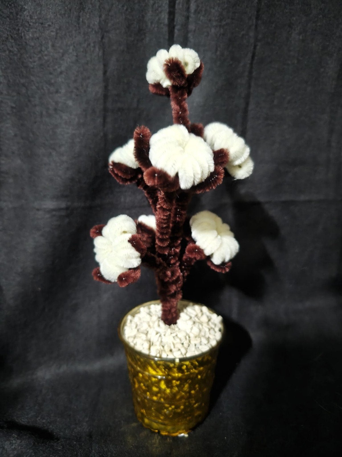 Katoenplant, Ophalen, Nieuw