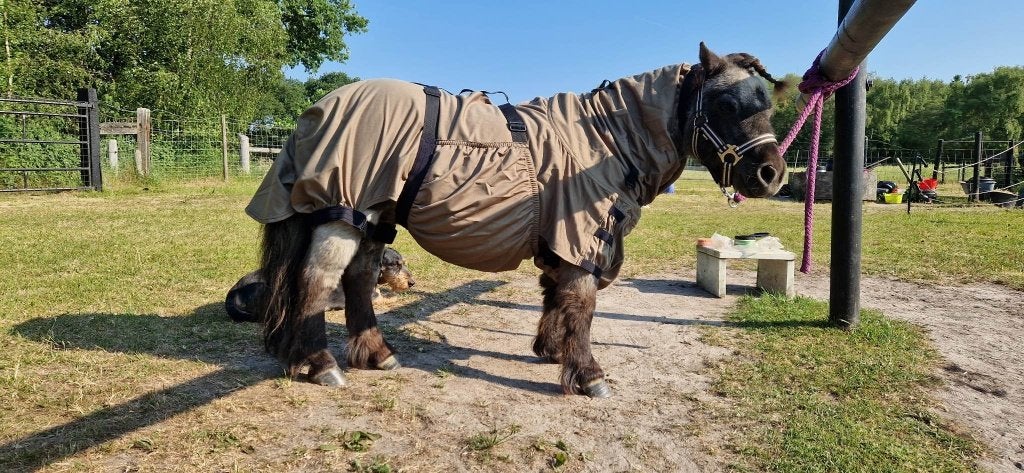 NIEUWE eczeemdekens maat mini shet van merk 'De Meulenkamp', Shetlander/Mini, Ophalen of Verzenden, Nieuw, Eczeemdeken