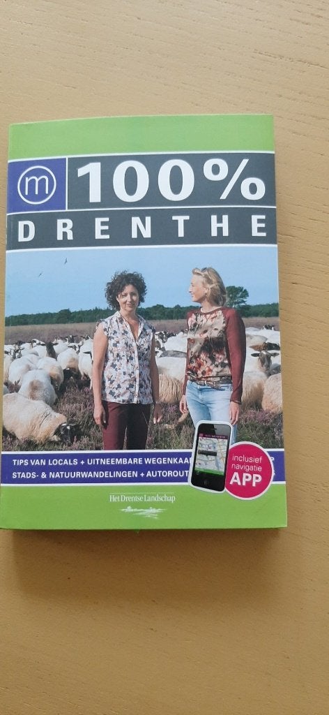 Boek 100 % Drenthe, Overige merken, Ophalen of Verzenden, Zo goed als nieuw, Reisgids of -boek