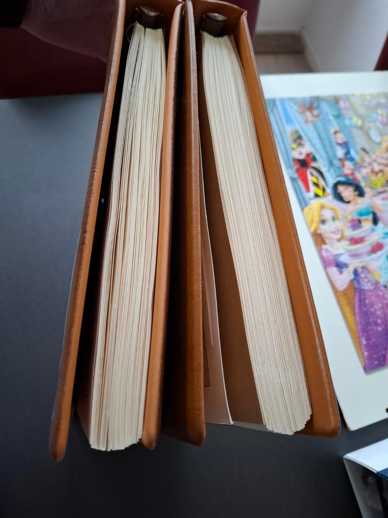 Pracht verzameling Oostenrijk in Lindner., Ophalen of Verzenden, Buitenland