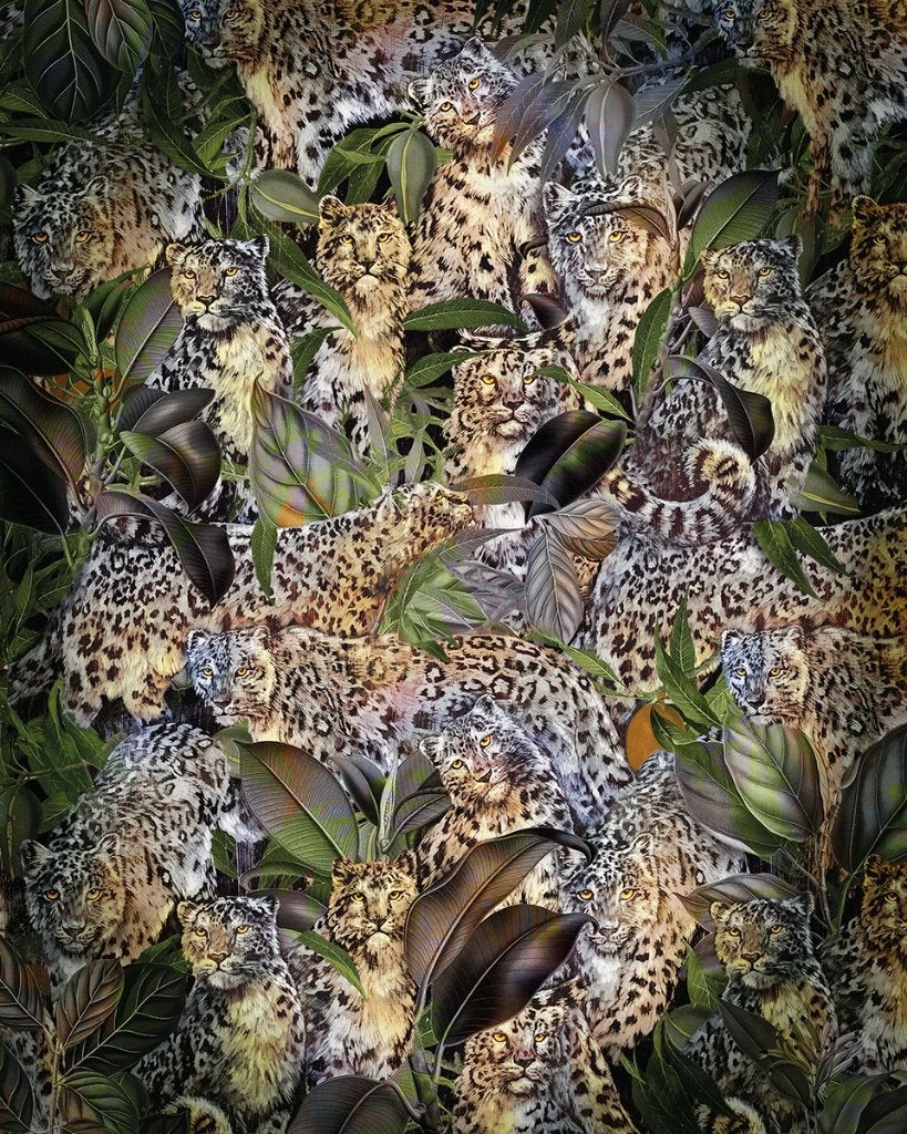 Jungle behang Wild Cats, Jaguar, Panter, Luipaard, Cheetah, Ophalen of Verzenden, Fotobehang