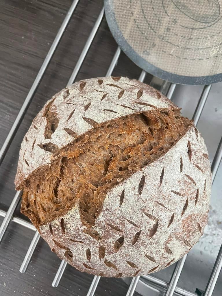 Zuurdesemstarter - Volkoren Tarwemeel, Ophalen