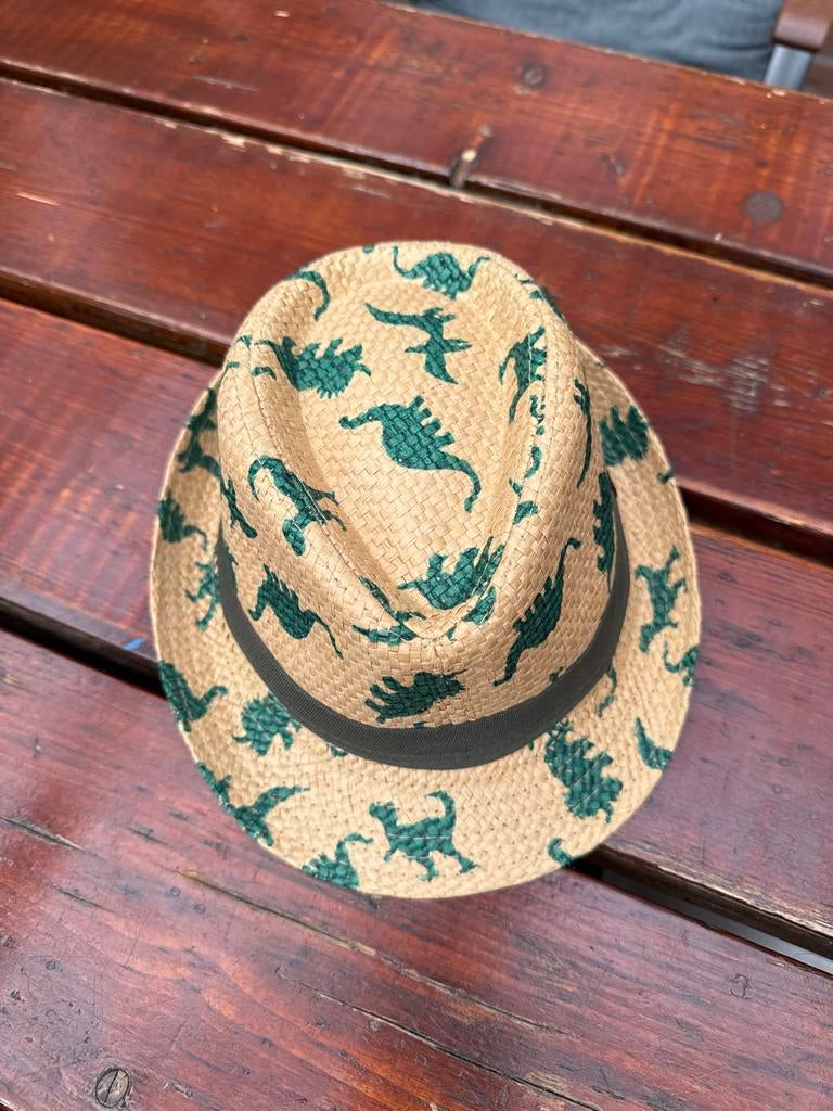 Leuke kinderhoed met dinoprint - Maat 54, Ophalen of Verzenden, Zo goed als nieuw, Jongetje of Meisje, Hoed