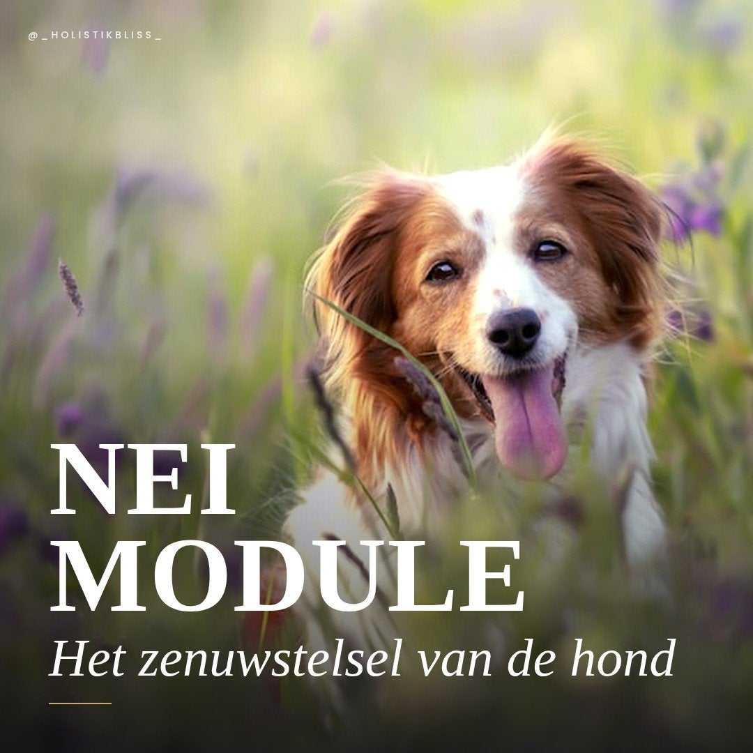 biotensor Nei-therapie, werkmodellen, Ophalen of Verzenden
