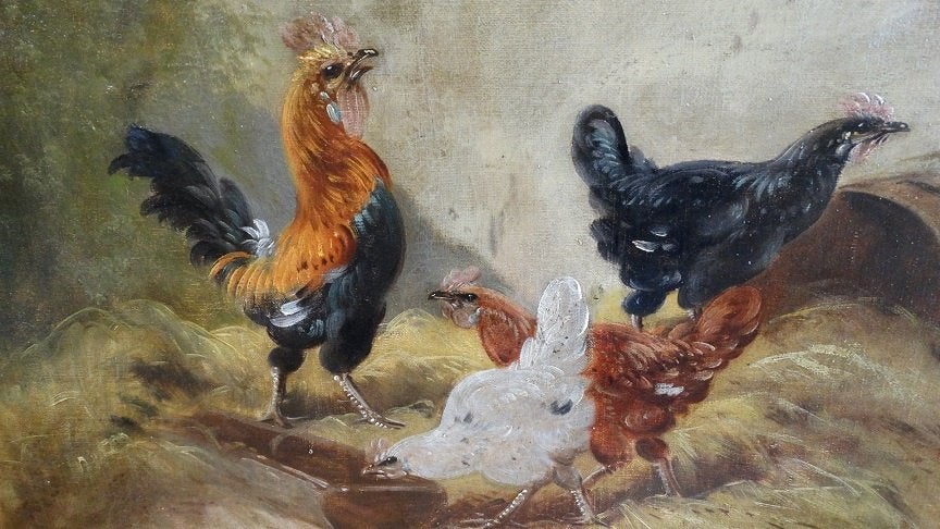 kippenschilderij "Sivel" periode 1900., Antiek en Kunst, Ophalen, Dieren