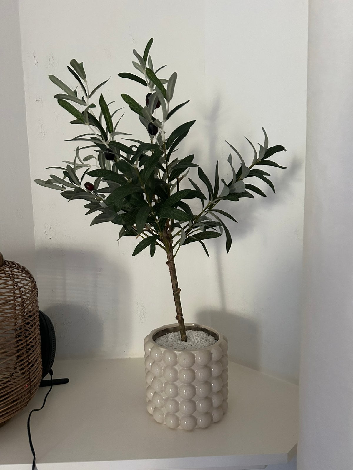 Kunst olijf boompje met pot, Ophalen, Zo goed als nieuw