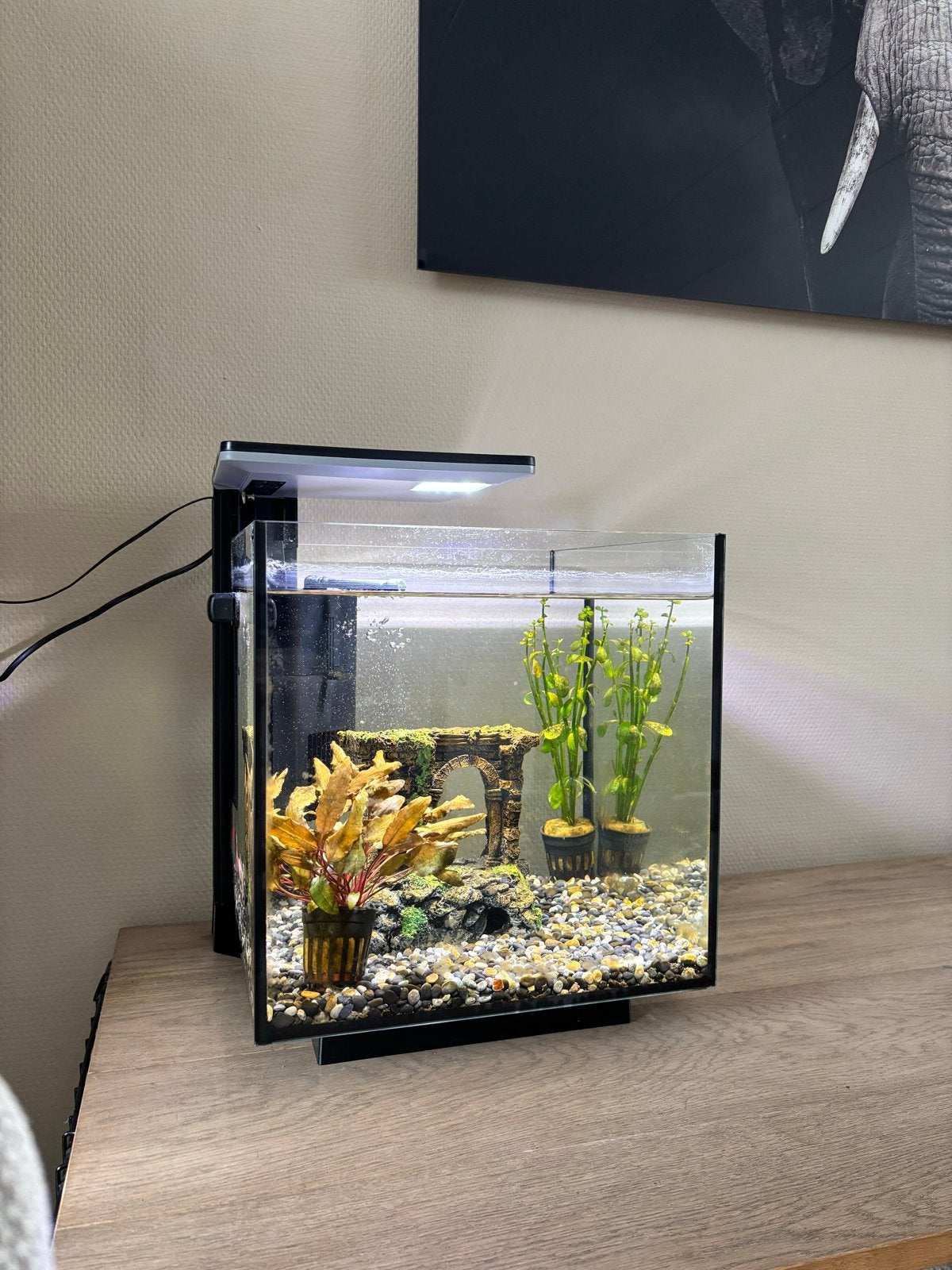 Aquarium, zo goed als nieuw, Dieren en Toebehoren, Ophalen, Zo goed als nieuw, Leeg aquarium