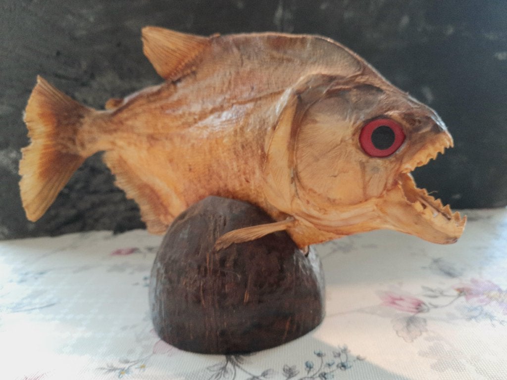 opgezette Piranha, Verzamelen, Dierenverzamelingen, Ophalen, Zo goed als nieuw, Overige soorten, Opgezet dier