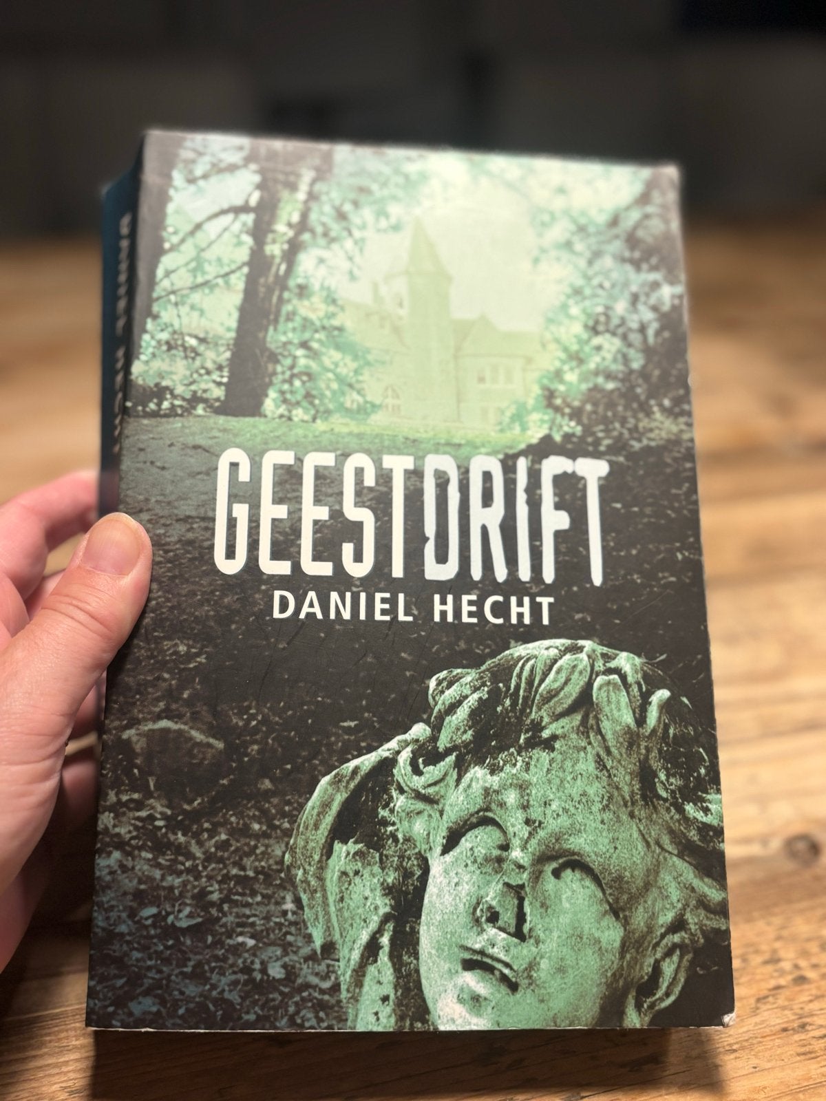 Geestdrift - Daniel Hecht (Literaire thriller), Boeken, Ophalen of Verzenden, Zo goed als nieuw, Wereld overig