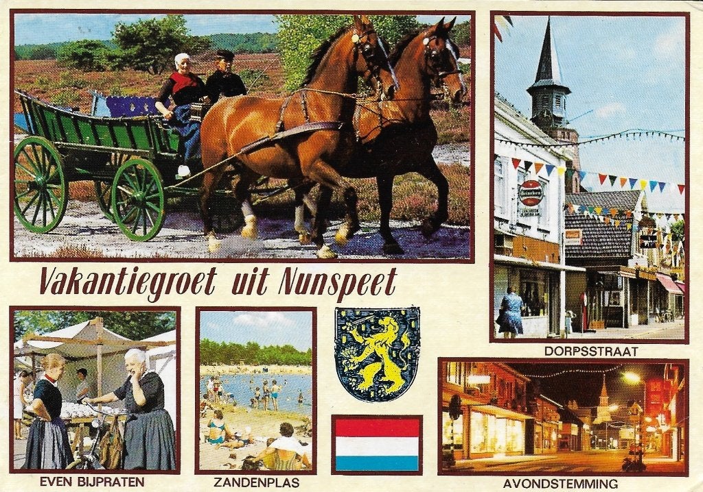 Ansichtkaart  	Nunspeet	5-luik	Paarden, Verzenden, 1980 tot heden, Gelopen, Gelderland