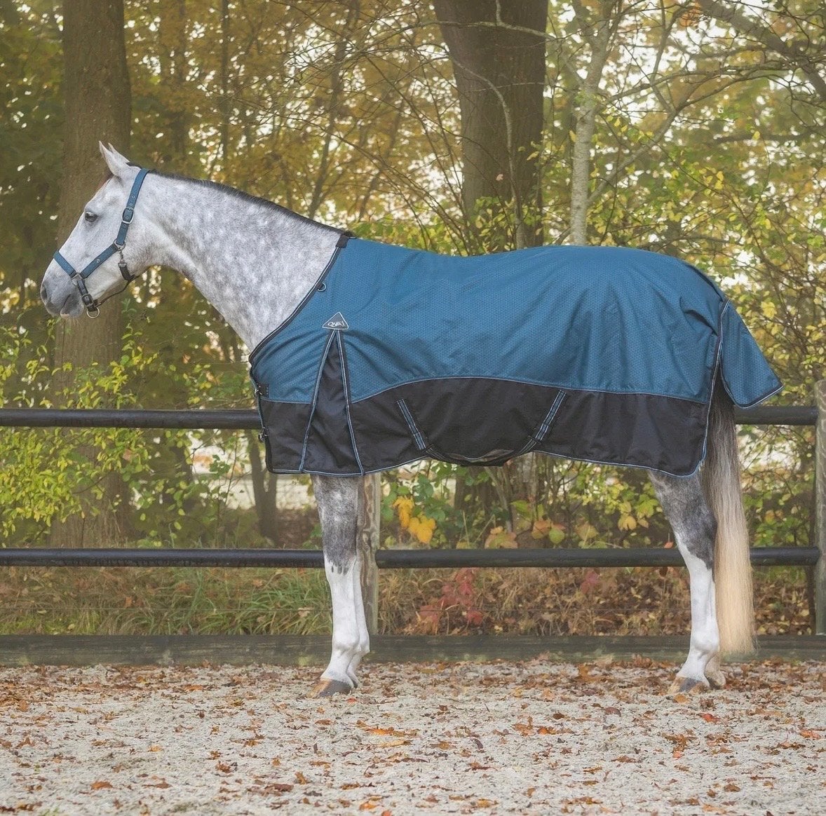 QHP FW25 Regendeken 1200D Turnout Collection 300gr NIEUW, Ophalen of Verzenden