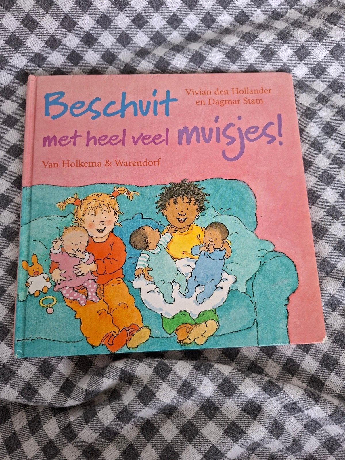 Beschuit met heel veel muisjes! - Vivian den Hollander, Ophalen of Verzenden, Gelezen, Vivian den Hollander en Dagmar Stam, 3 tot 4 jaar