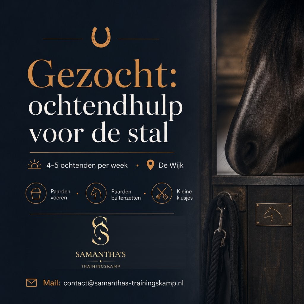 **Stalhulp gezocht voor kleinschalige stal in De Wijk**