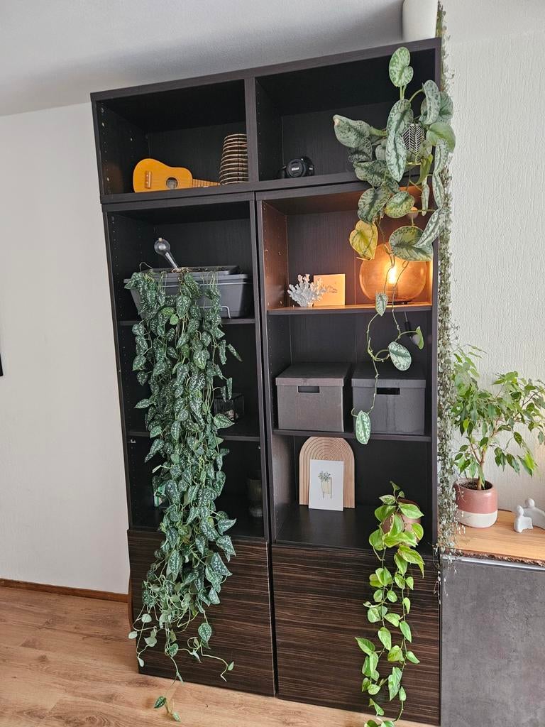 Ikea Besta kasten combinatie zwart - 3 kasten, Ophalen