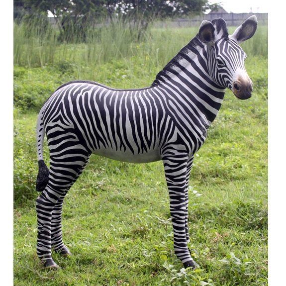 Zebra Veulen beeld - Hoogte 110 cm, Verzamelen, Ophalen, Nieuw, Overige soorten, Overige typen