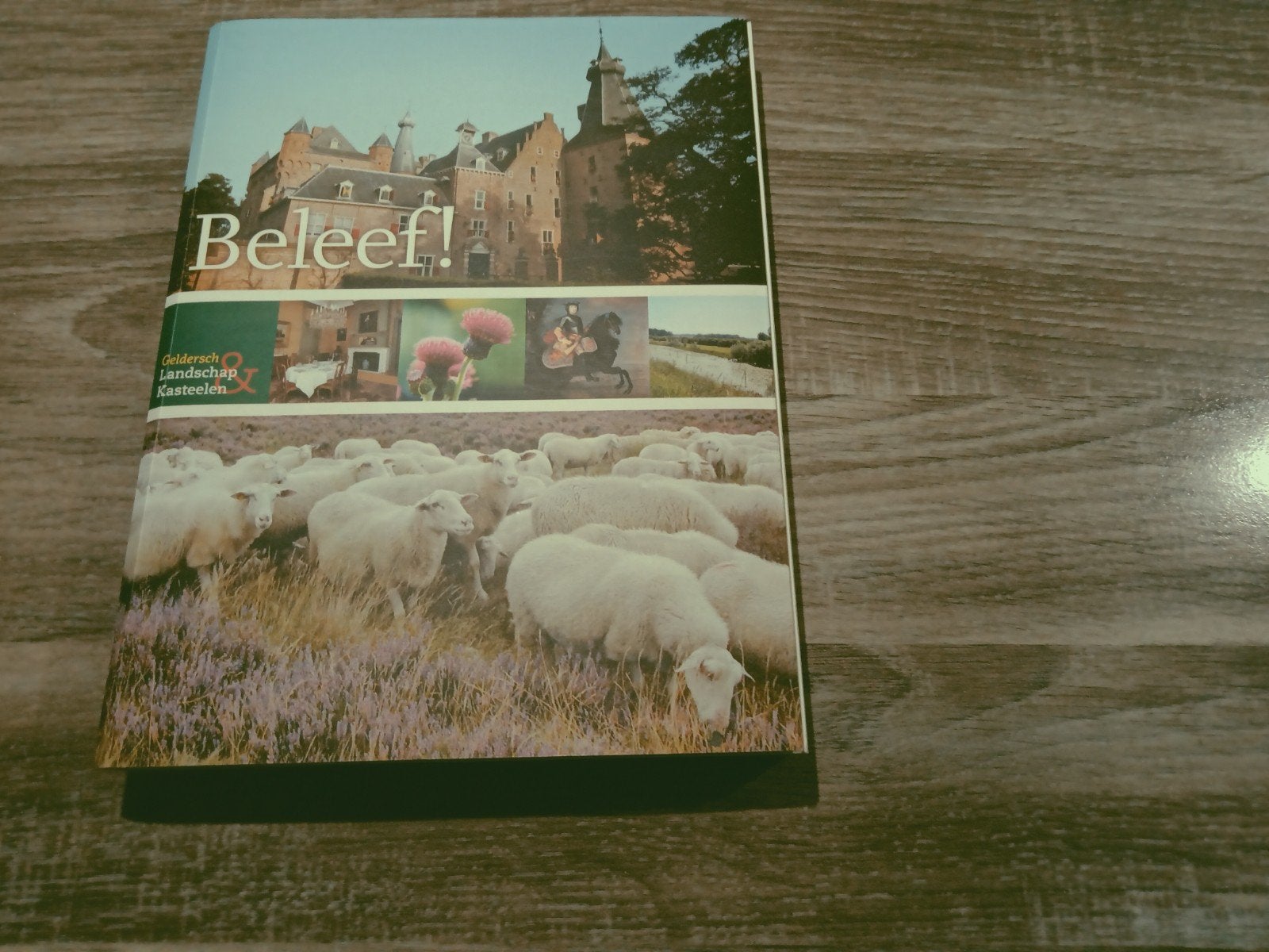 3 boeken over Gelderland samen € 6.00, Ophalen, Gelezen