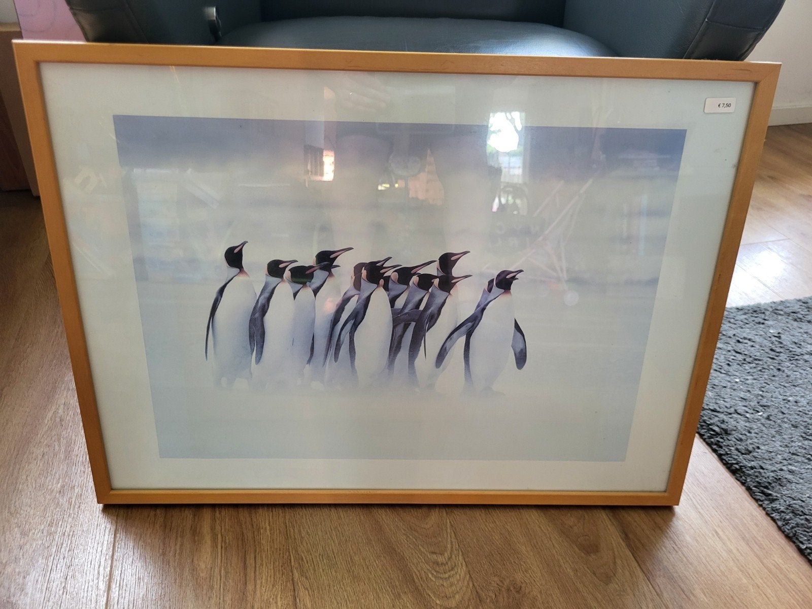 Ingelijste Pinguïn Print - Sfeervolle Wanddecoratie, Ophalen, Gebruikt, 50 tot 75 cm, Print