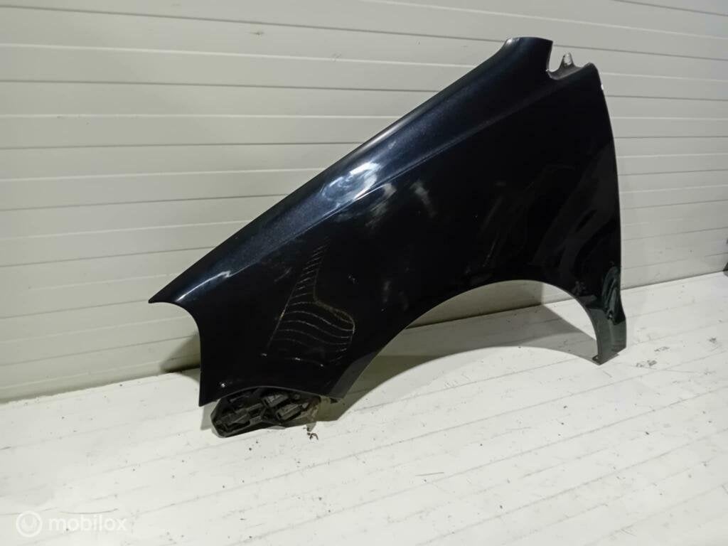 Spatscherm Volkswagen Polo, Gebruikt, Ophalen of Verzenden