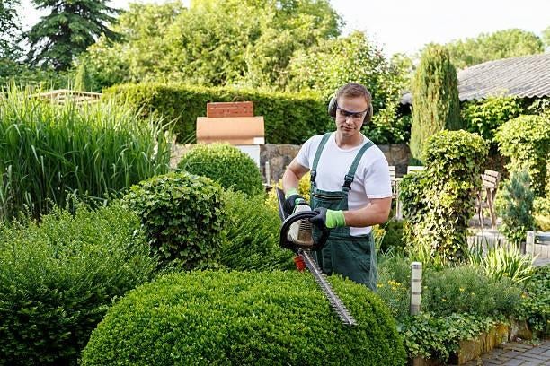 tuinman
