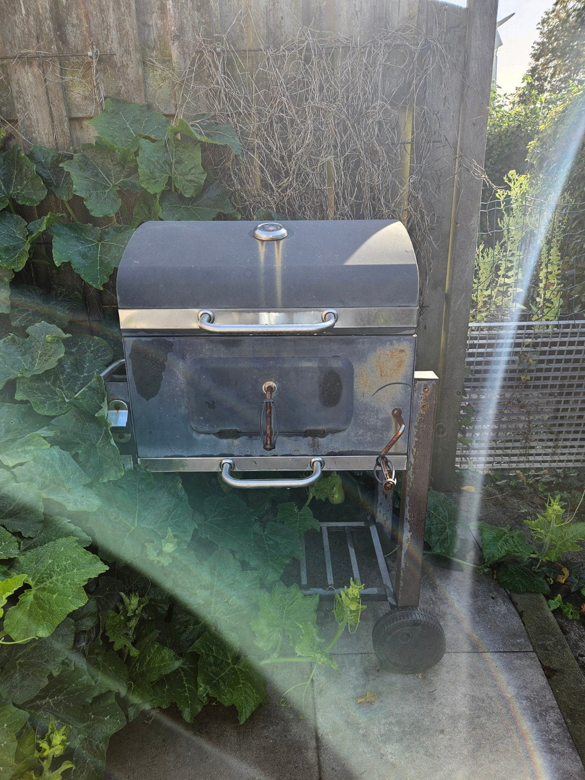 Gratis af te halen: Barbecue in goede staat, Ophalen, Gebruikt