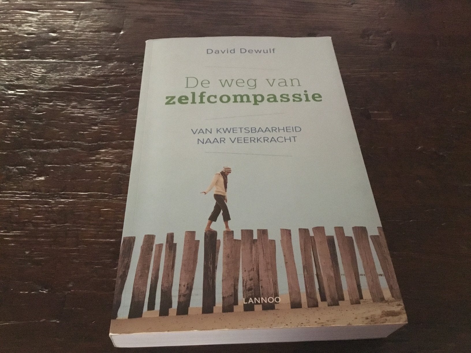De weg naar zelfcompassie   David Dewulf, Boeken, Ophalen of Verzenden, Zo goed als nieuw