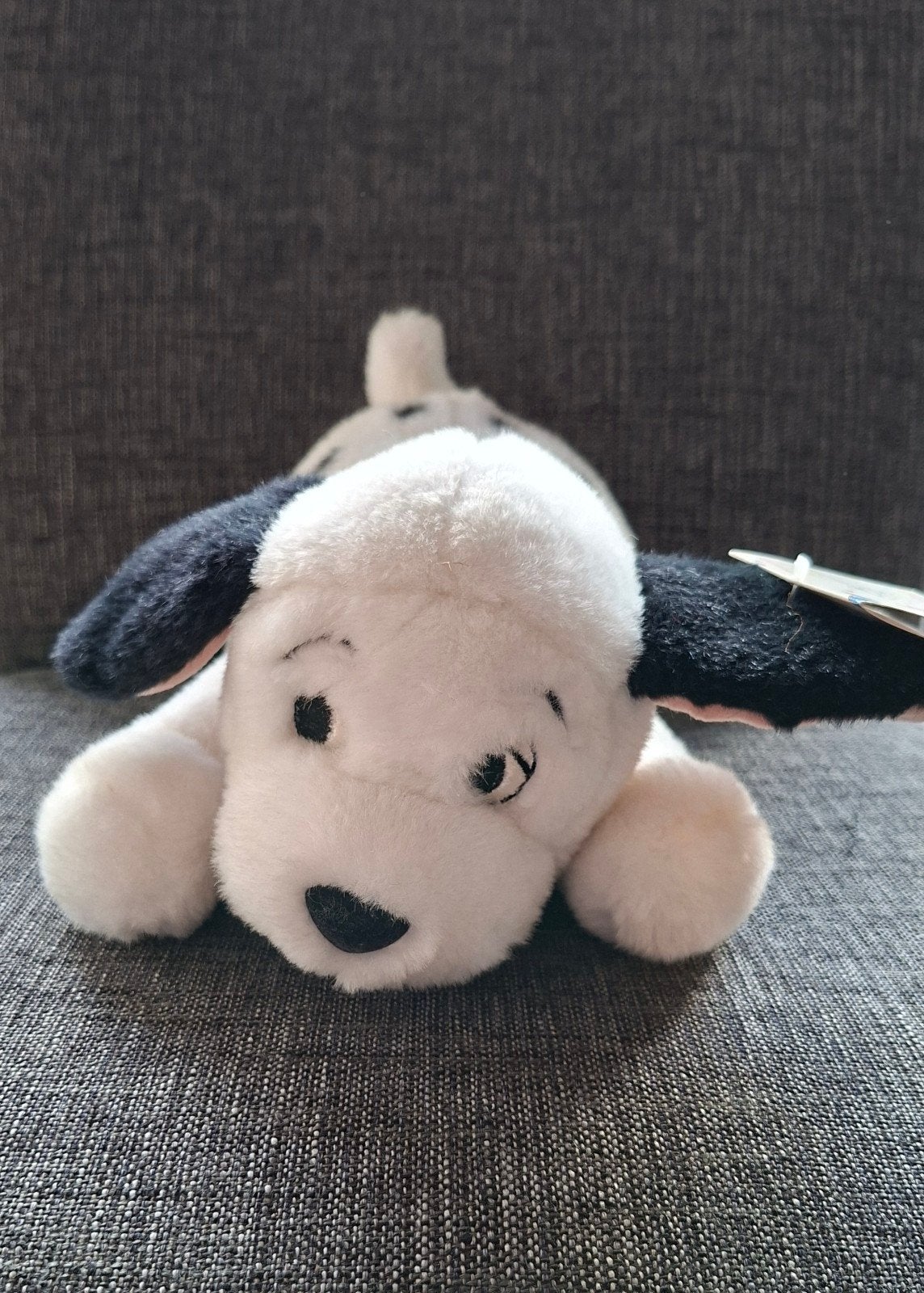 101 Dalmatiërs knuffel - Disneyland Parijs (nieuw), Disney, Disney, Nieuw, Ophalen of Verzenden