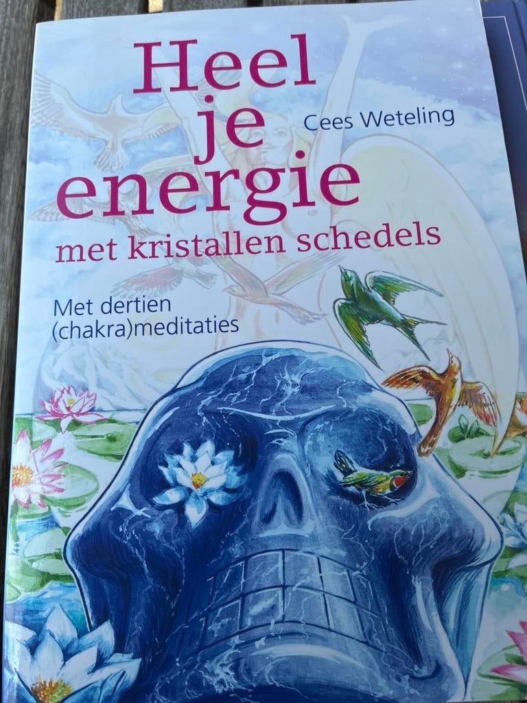 Heel je energie met kristallen schedels - Cees Weteling, Boeken, Ophalen of Verzenden, Nieuw, Spiritualiteit algemeen, Achtergrond en Informatie