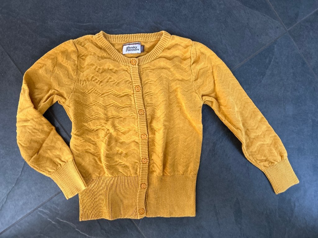 4 Funky Flavours vest maat 134, Meisje, Trui of Vest, Ophalen of Verzenden, Zo goed als nieuw