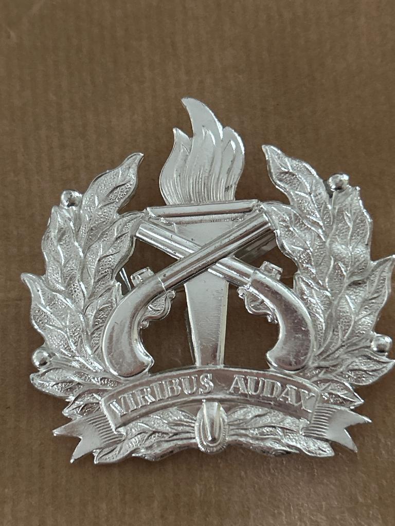 Nederland / Suriname – Politiekorps insigne “Viribus Audax”, Verzamelen, Militaria | Algemeen, Landmacht, Embleem of Badge, Nederland