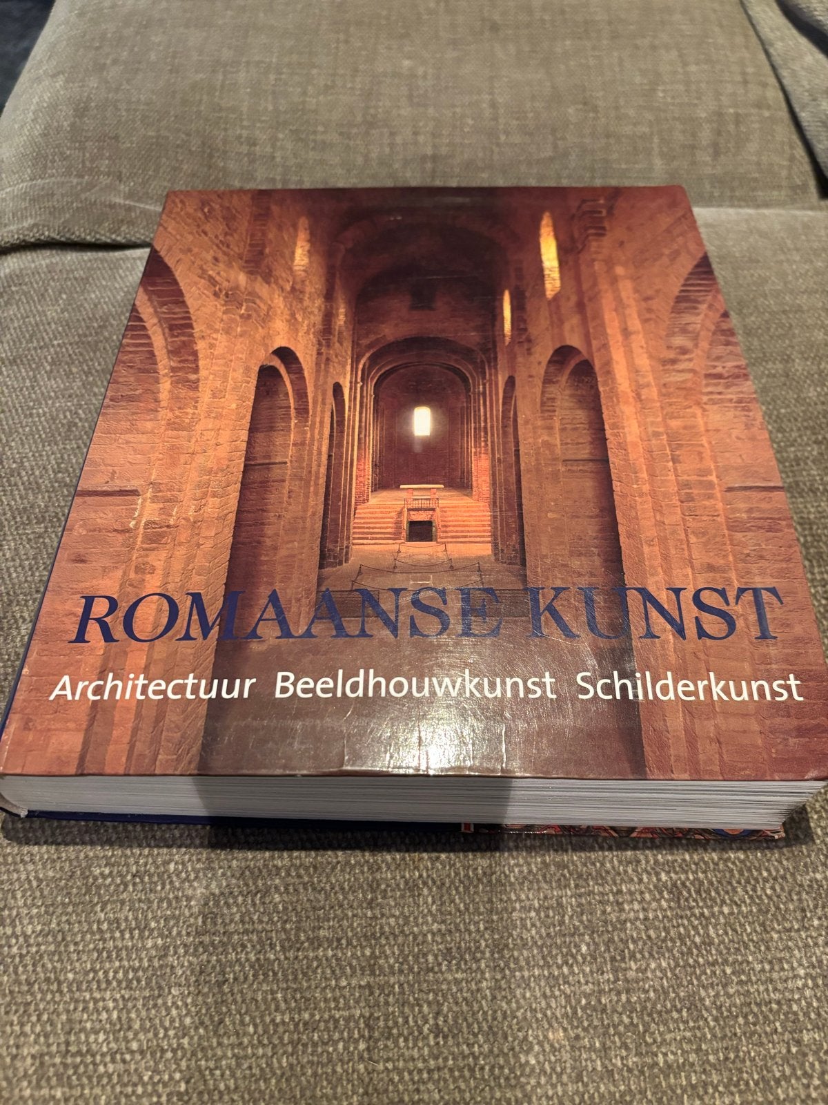 Romaanse Kunst: Architectuur, Beeldhouwkunst, Schilderkunst, Ophalen of Verzenden, Zo goed als nieuw, Schilder- en Tekenkunst