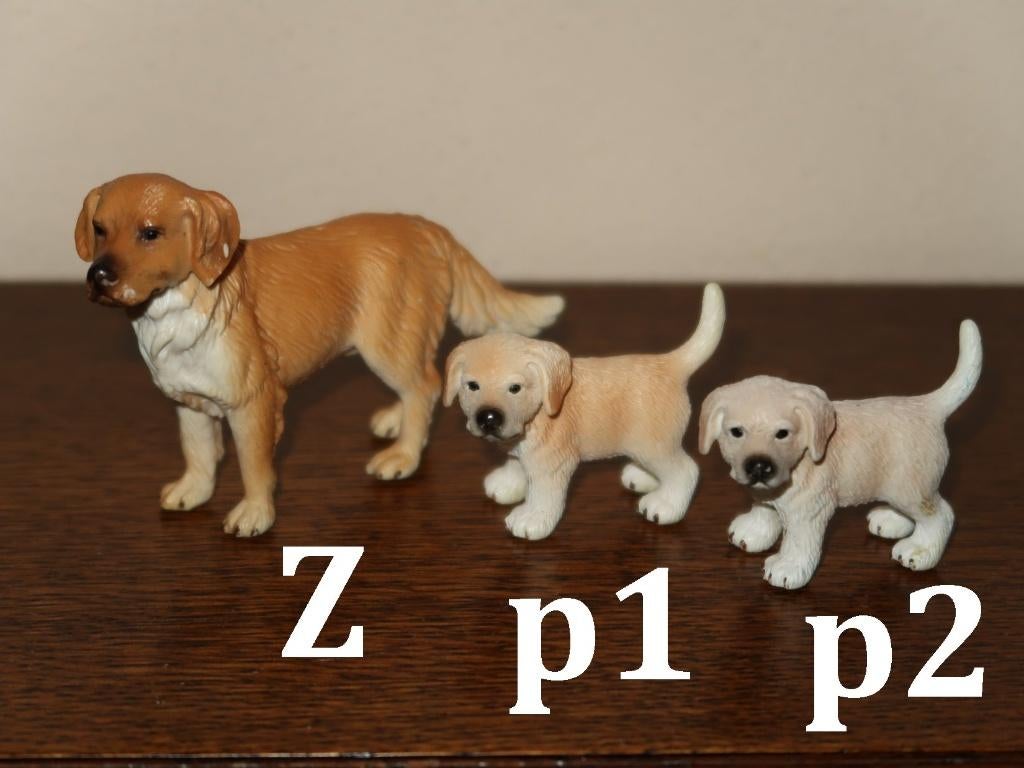 Golden Retrievers en Teckel van Schleich, vintage Farm World, Verzenden, Gebruikt