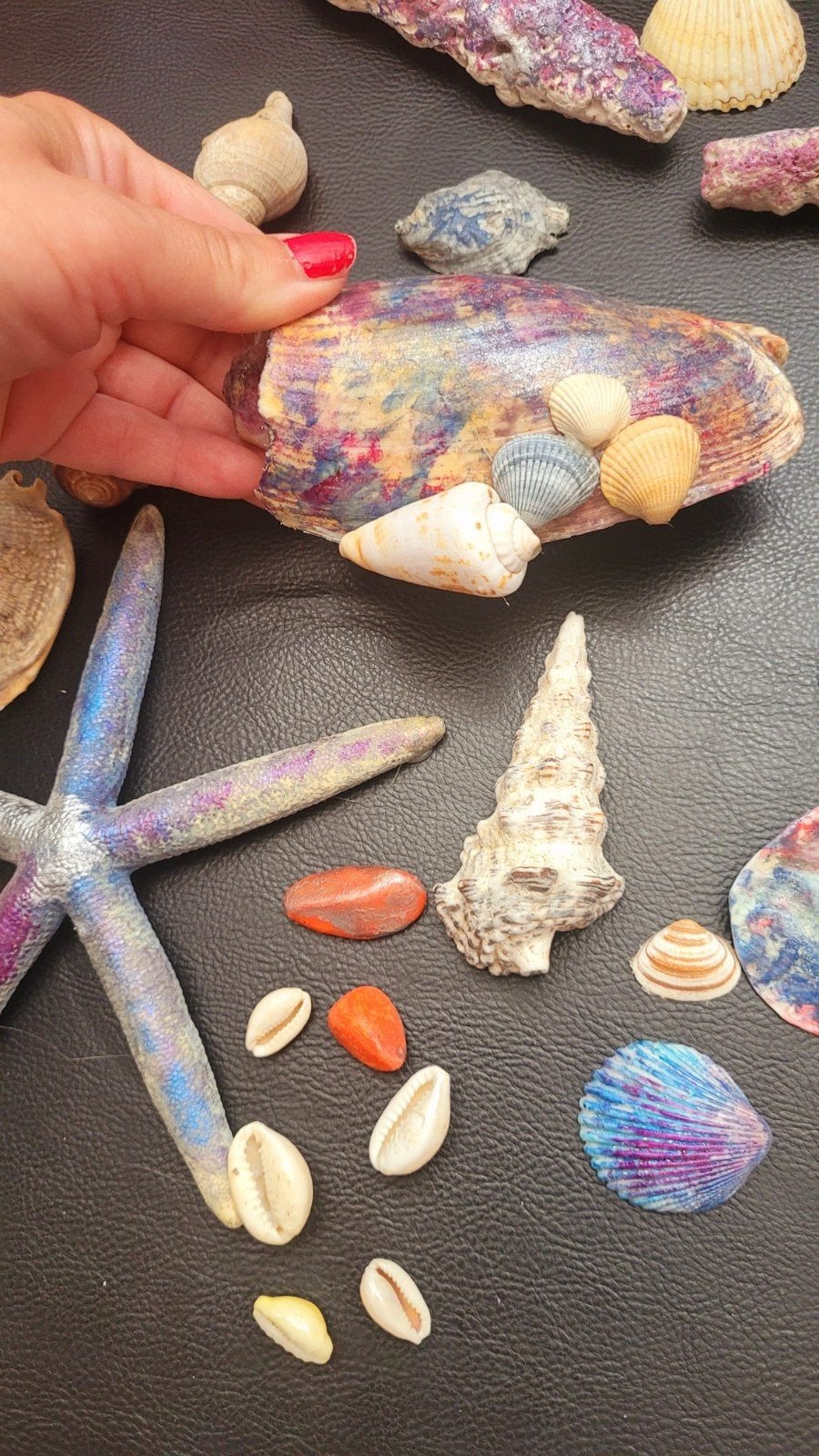 Diverse schelpen en zeester decoratie set, Ophalen of Verzenden, Zo goed als nieuw