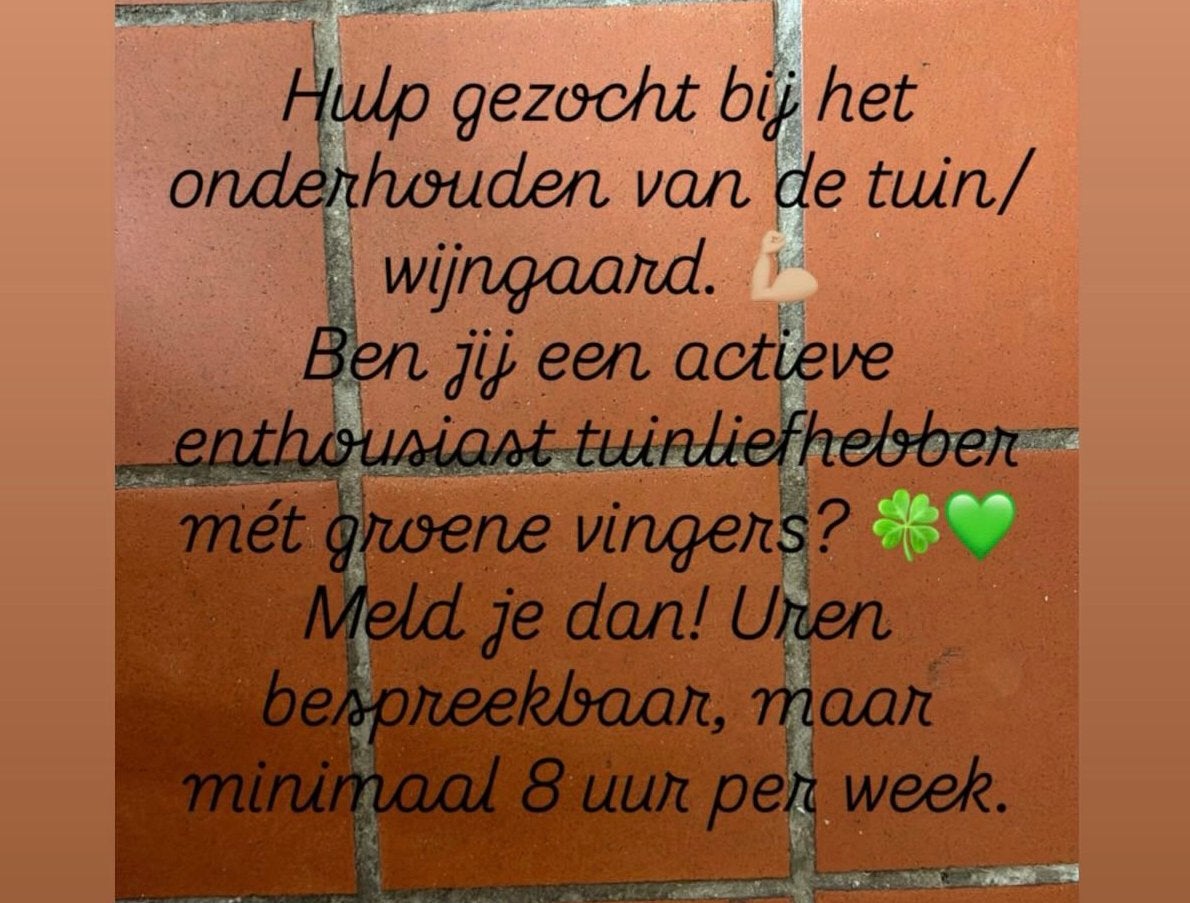 Tuinman gezocht gemeente Stein, tuinonderhoud, Ophalen, Elektrisch