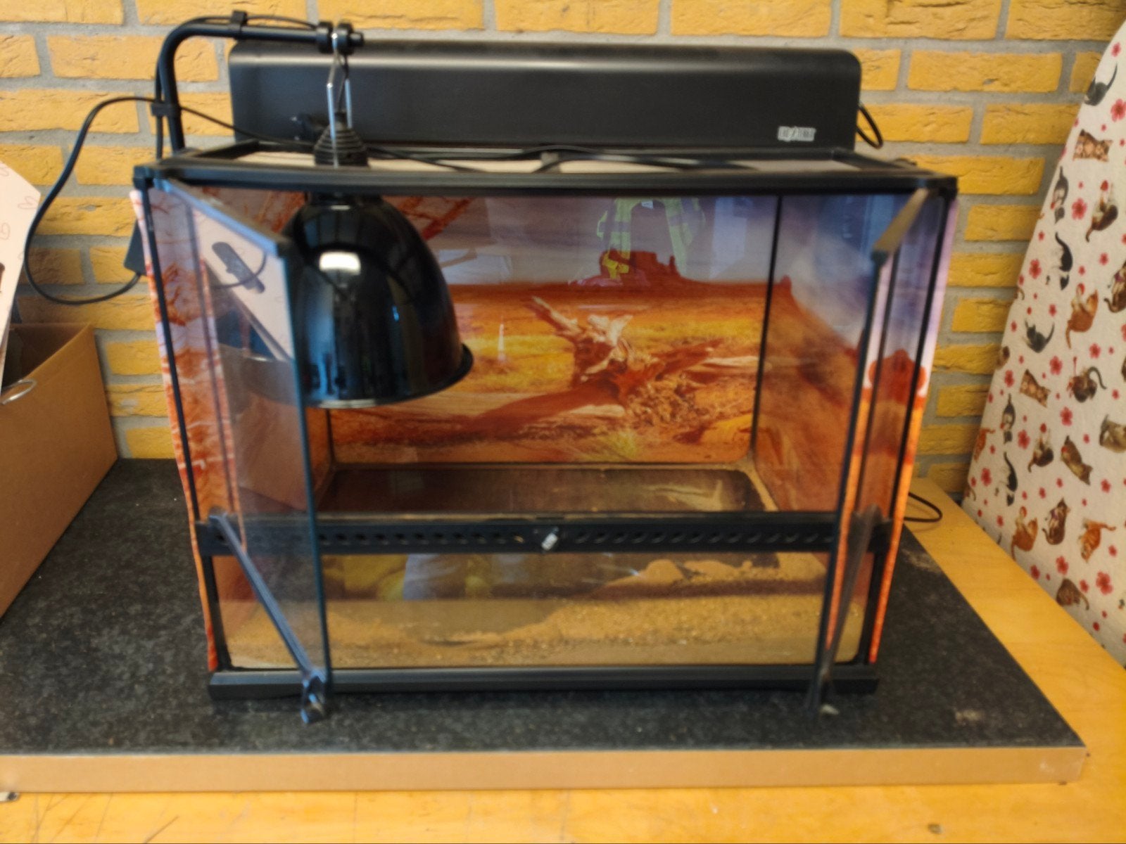 Exo terra terrarium 60x45x45 met lichtkap en lamp, Dieren en Toebehoren, Ophalen, Gebruikt, Terrarium of Paludarium