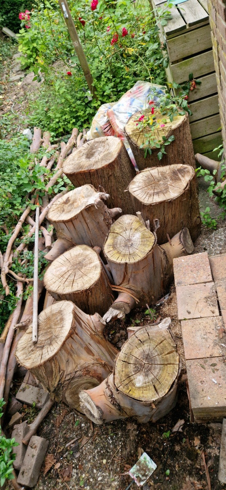 Eucalyptus stammen hout voor diverse doeleinden, Tuin en Terras, Haardhout, Minder dan 3 m³, Ophalen, Overige houtsoorten, Stammen