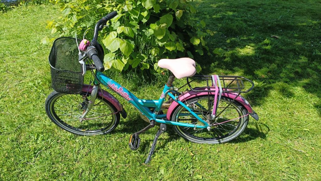 Kinderfiets 20 inch met mandje en bagagedrager, Ophalen, Gebruikt, Velgrem, Papillon