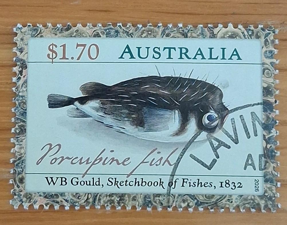 AUSTRALIË 2026: SKETCHBOOK OF FISHES, Postzegels en Munten, Postzegels | Oceanië, Ophalen of Verzenden