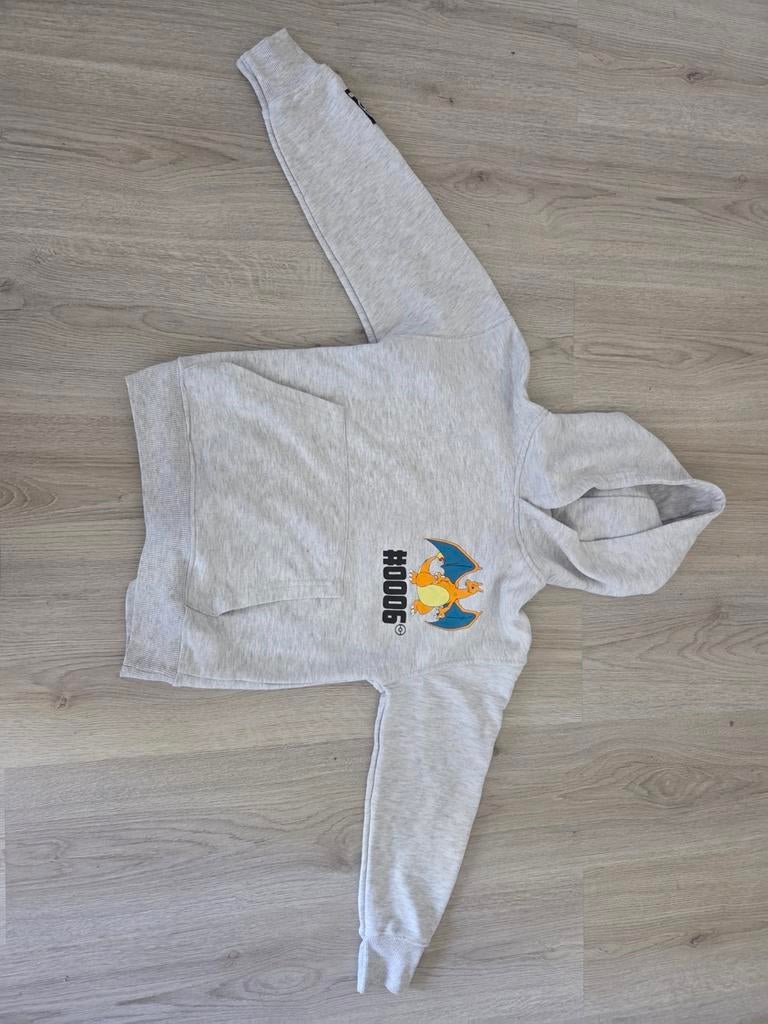 Pokémon Charizard Hoodie - Grijs, Ophalen, Zo goed als nieuw, Pokémon, Jongen of Meisje