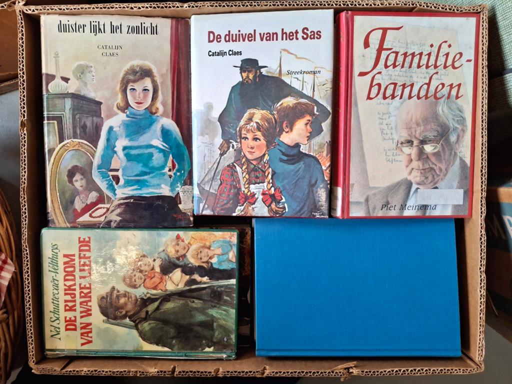 Volle bananendoos streekromans Ook los te koop!, Boeken, Romans, Ophalen of Verzenden, Gelezen