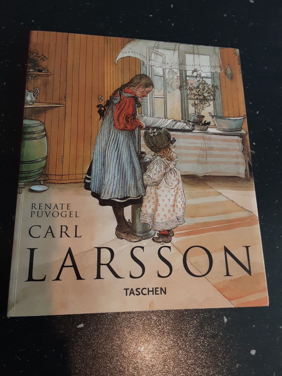 CARL LARSSON BOEK, Boeken, Kunst en Cultuur | Beeldend, Ophalen of Verzenden