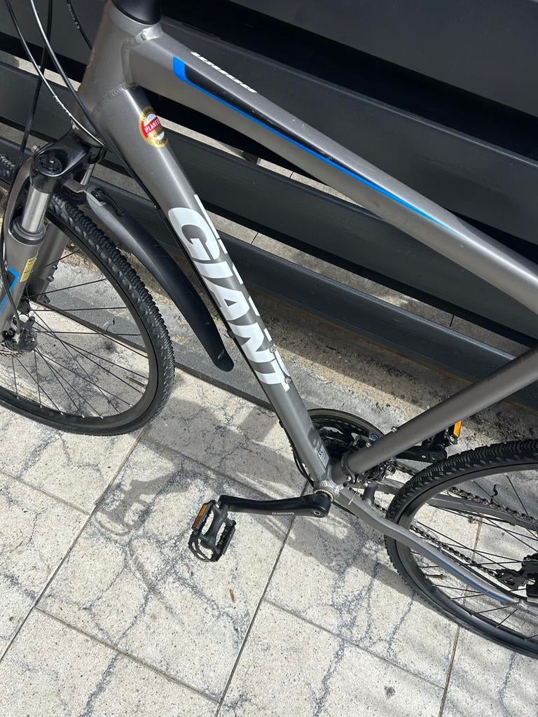 Giant herenfiets, grijs met blauwe accenten, Ophalen, Gebruikt, Versnellingen, Giant