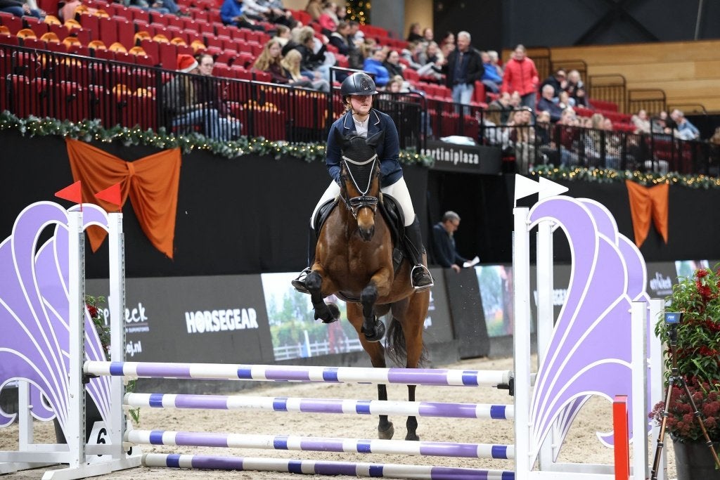 Knappe 8 jarige E-pony te koop, Merrie, E pony (1.48m - 1.57m), Springpony, 7 tot 10 jaar