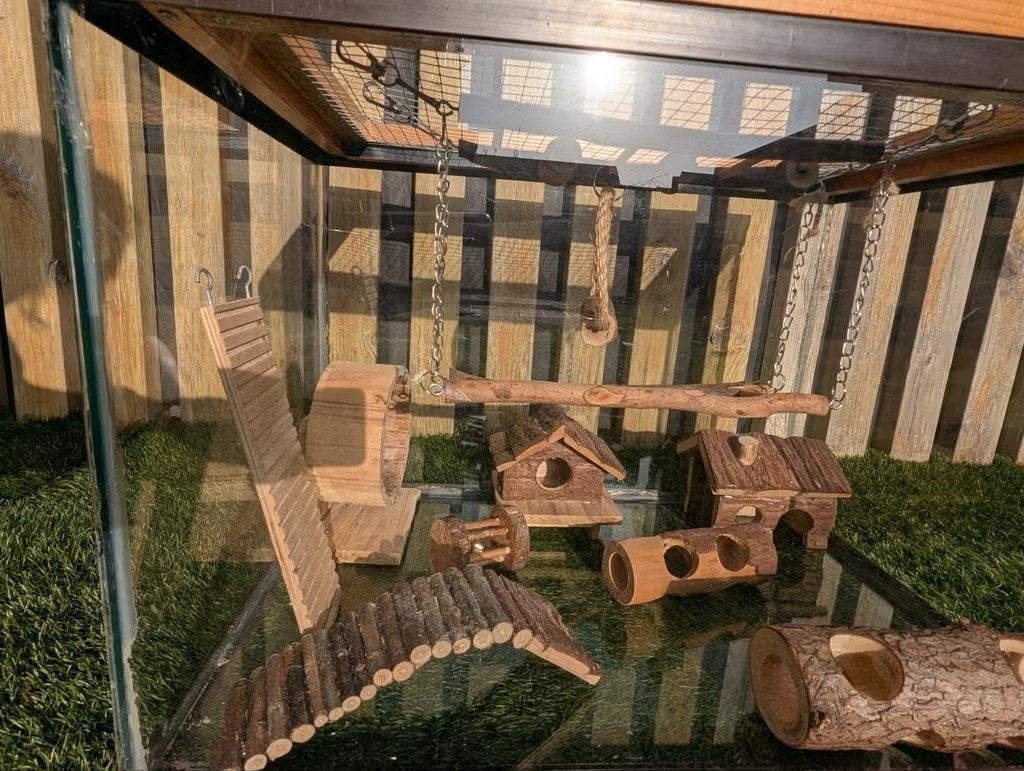 Hok / terrarium voor knaagdier, Dieren en Toebehoren, Knaagdieren en Konijnen | Hokken en Kooien, Muis, Minder dan 75 cm, Zo goed als nieuw