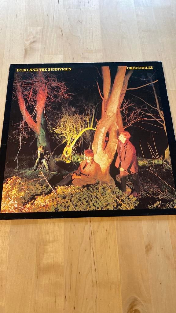 Vinyl lp Echo & the Bunnymen - Crocodiles, Ophalen of Verzenden, Zo goed als nieuw, 12 inch