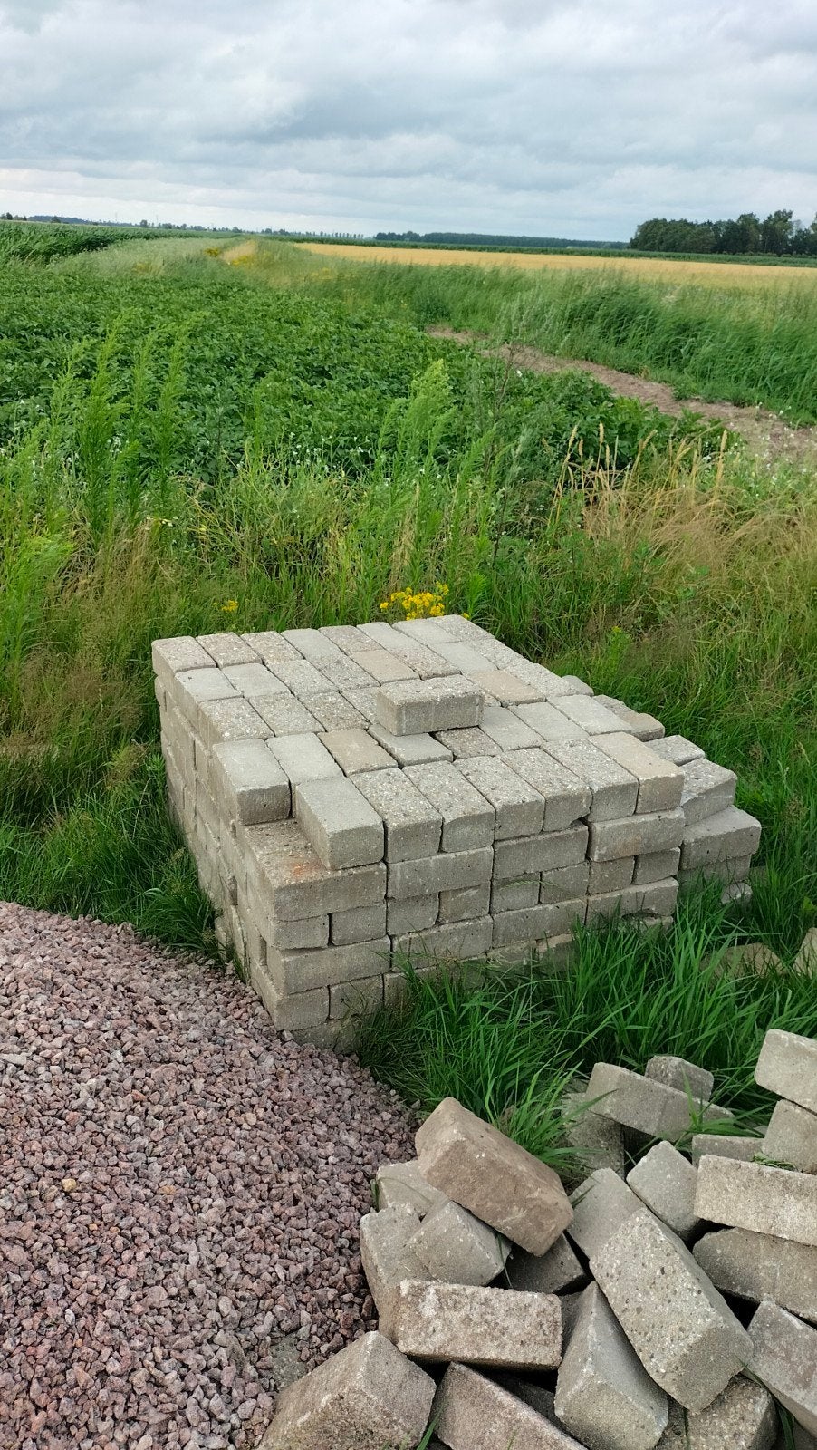 Grijze betonklinkers 20x10x8 cm, Tuin en Terras, Tegels en Klinkers, Ophalen, Gebruikt, Klinkers, Minder dan 5 m²
