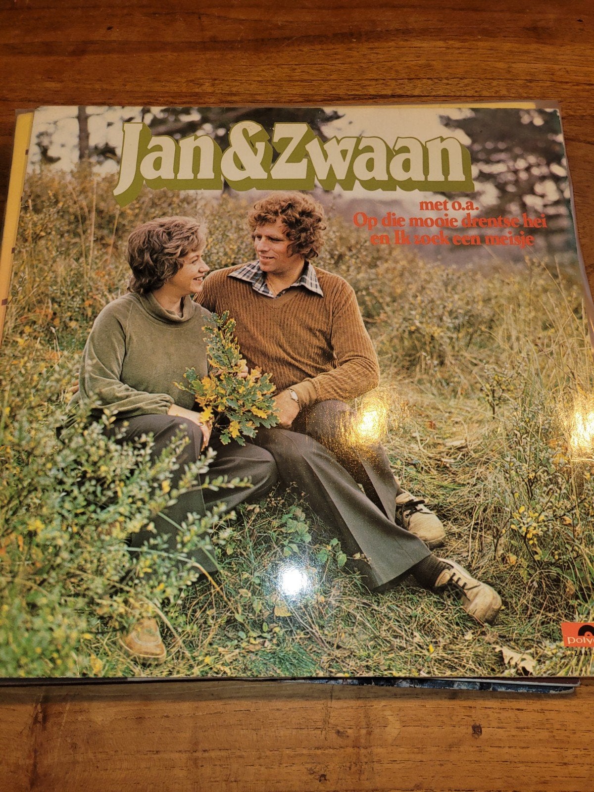 Jan en zwaan met oa dolce farniente, Ophalen of Verzenden